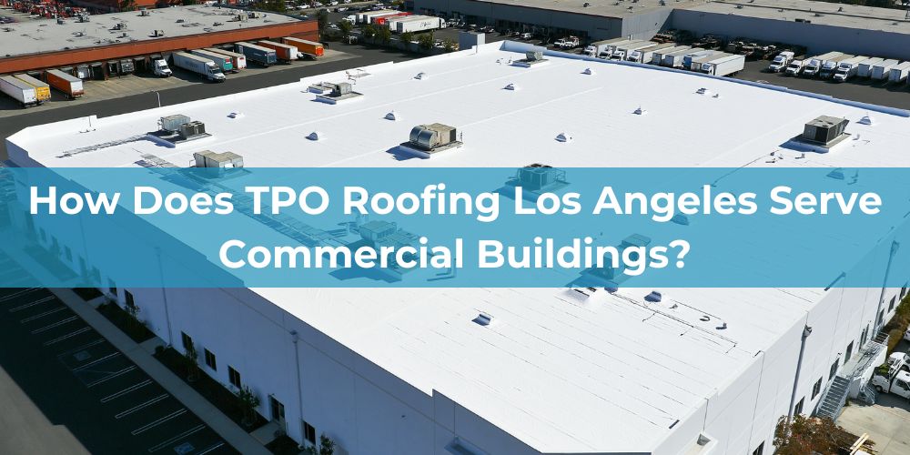blog/how-does-tpo-roofing-los-angeles-serve-commercial-buildings.jpg