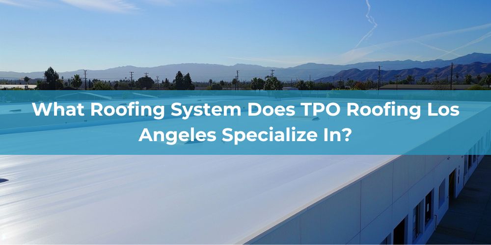 blog/what-roofing-system-does-tpo-roofing-los-angeles-specialize-in.jpg